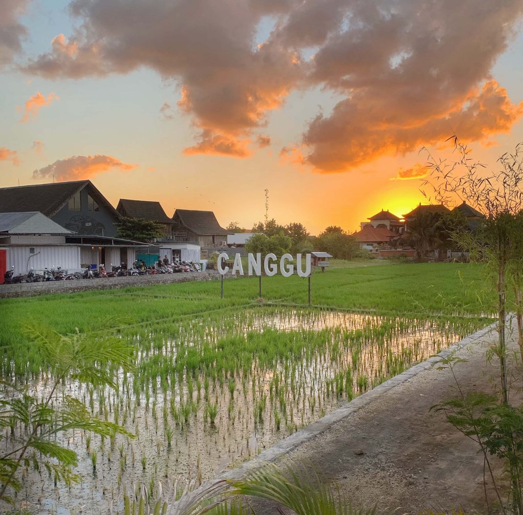CANGGU sign on a rice field between houses.